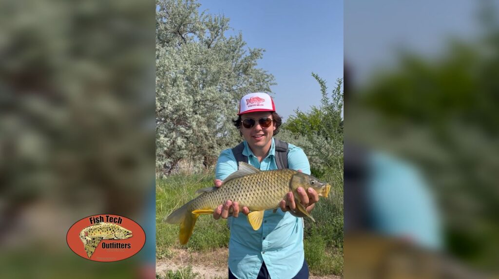 Fish Tech Tip How To Fly Fish For Carp fish-tech-tip-how-to-fly-fish-for-carp